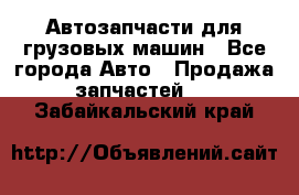 Автозапчасти для грузовых машин - Все города Авто » Продажа запчастей   . Забайкальский край